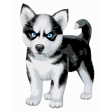 

Diamondi - MODROOKÝ HUSKY, 40x50 cm, bez rámu a bez vypnutí plátna