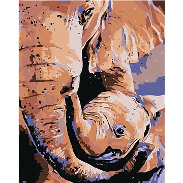 

Diamondi - SLONICE A SLŮNĚ, 40x50 cm, vypnuté plátno na rám