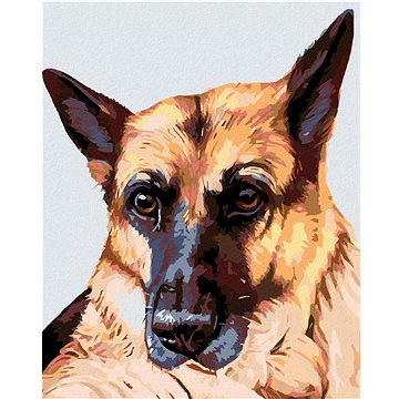 

Diamondi - VLČÁK, 40x50 cm, vypnuté plátno na rám