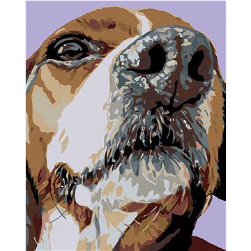 

Diamondi - ČUMÁČEK BÍGLA, 40x50 cm, vypnuté plátno na rám