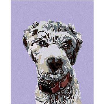 

Diamondi - CHLUPÁČ S ČERVENÝM OBOJKEM, 40x50 cm, bez rámu a bez vypnutí plátna