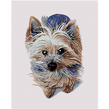 

Diamondi - Diamantové malování - MALÝ JORKŠÍR, 40x50 cm, Vypnuté plátno na rám