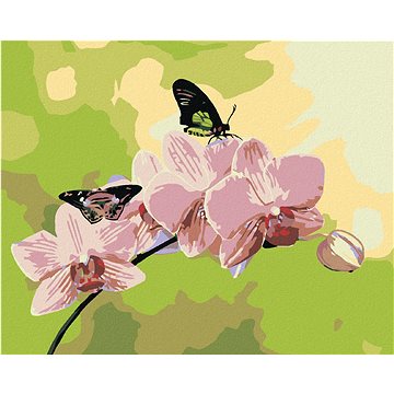 

Diamondi - ORCHIDEJ S MOTÝLKY, 40x50 cm, bez rámu a bez vypnutí plátna