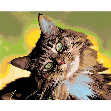 

Diamondi - MOUROVATÝ KOCOUR, 40x50 cm, bez rámu a bez vypnutí plátna
