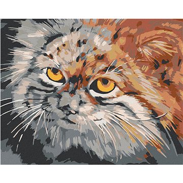 

Diamondi - ŠEDOHNĚDÁ KOČKA, 40x50 cm, vypnuté plátno na rám