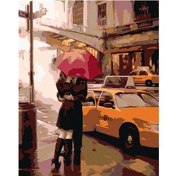 

Diamondi - LOUČENÍ U TAXI, 40x50 cm, vypnuté plátno na rám
