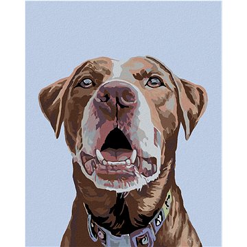 

Diamondi - HNĚDÝ LABRADOR, 40x50 cm, vypnuté plátno na rám