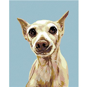 

Diamondi - VYDĚŠENÝ PEJSEK, 40x50 cm, bez rámu a bez vypnutí plátna