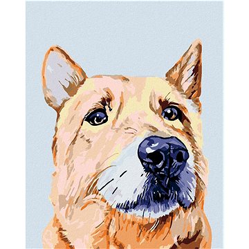 

Diamondi - SMUTNÝ PES, 40x50 cm, vypnuté plátno na rám