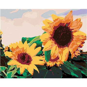 

Diamondi - SLUNEČNICE I., 40x50 cm, vypnuté plátno na rám