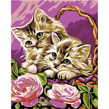 

Diamondi - KOŤATA V KOŠÍKU A RŮŽOVÉ RŮŽE, 40x50 cm, bez rámu a bez vypnutí plátna