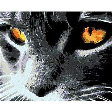 

Diamondi - ČERNÁ KOČKA A JASNÝ POHLED, 40x50 cm, vypnuté plátno na rám
