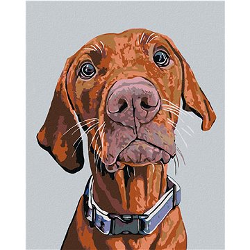 

Diamondi - RIDGEBACK S MODRÝM OBOJKEM, 40x50 cm, bez rámu a bez vypnutí plátna
