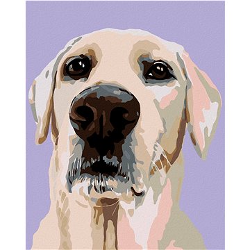 

Diamondi - LABRADORSKÝ RETRÍVR, 40x50 cm, vypnuté plátno na rám