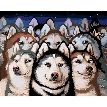

Diamondi - TLUPA HUSKY, 40x50 cm, vypnuté plátno na rám
