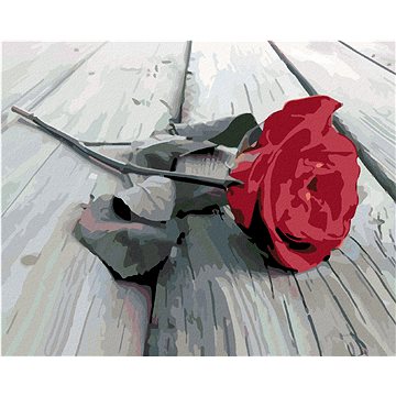 

Diamondi - POLOŽENÁ RŮŽE, 40x50 cm, vypnuté plátno na rám