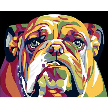 

Diamondi - BULDOG, 40x50 cm, vypnuté plátno na rám