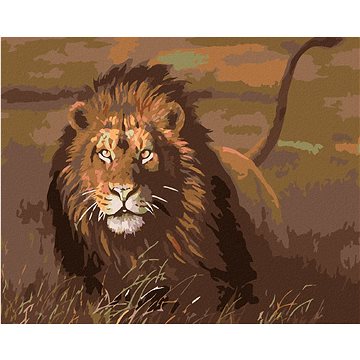 

Diamondi - LEV V SAVANĚ, 40x50 cm, vypnuté plátno na rám