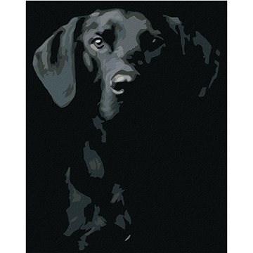 

Diamondi - ČERNOBÍLÝ PES, 40x50 cm, vypnuté plátno na rám