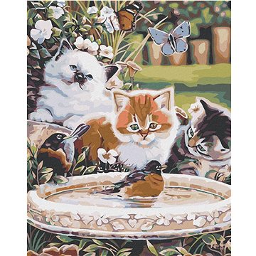 

Diamondi - KOŤATA A PTÁČCI, 40x50 cm, bez rámu a bez vypnutí plátna