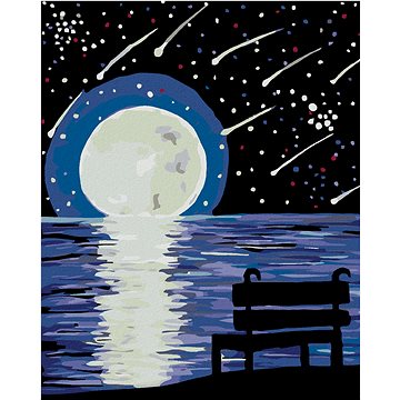 

Diamondi - LAVIČKA MĚSÍC A PERSEIDY, 40x50 cm, bez rámu a bez vypnutí plátna