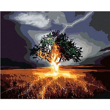 

Diamondi - KDYŽ DO STROMU UDEŘÍ BLESK, 40x50 cm, bez rámu a bez vypnutí plátna