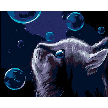 

Diamondi - KOČKA A BUBLINY V NOCI, 40x50 cm, vypnuté plátno na rám