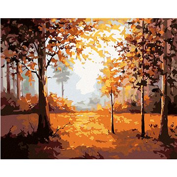 

Diamondi - PODZIMNÍ LES, 40x50 cm, bez rámu a bez vypnutí plátna