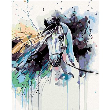 

Diamondi - ABSTRAKTNÍ KŮŇ ČERNÝ, 40x50 cm, vypnuté plátno na rám