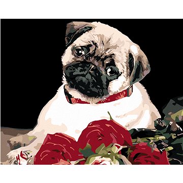 

Diamondi - MOPS, 40x50 cm, vypnuté plátno na rám