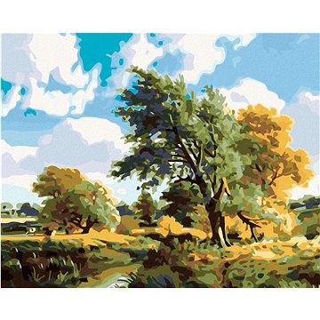 

Diamondi - STROMY U ŘEKY, 40x50 cm, bez rámu a bez vypnutí plátna