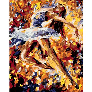 

Diamondi - KRÁSNÁ BALETKA V BARVÁCH, 40x50 cm, bez rámu a bez vypnutí plátna