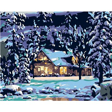 

Diamondi - ZASNĚŽENÝ SRUB V LESE, 40x50 cm, vypnuté plátno na rám