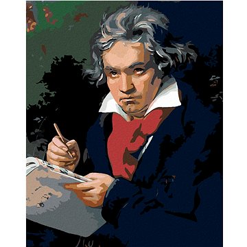 

Diamondi - LUDWIG VAN BEETHOVEN, 40x50 cm, bez rámu a bez vypnutí plátna