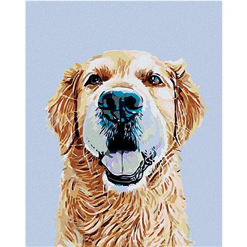 

Diamondi - ZLATÝ RETRÍVR, 40x50 cm, vypnuté plátno na rám
