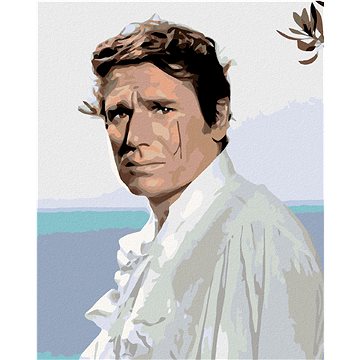 

Diamondi - JEOFFREY DE PEYRAC, 40x50 cm, bez rámu a bez vypnutí plátna
