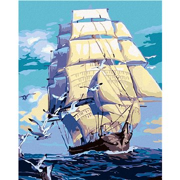 

Diamondi - KORÁB A RACCI NA MOŘI, 40x50 cm, bez rámu a bez vypnutí plátna