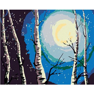 

Diamondi - BŘÍZY, MĚSÍC A PADAJÍCÍ SNÍH, 40x50 cm, vypnuté plátno na rám