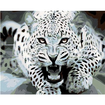 

Diamondi - Diamantové malování - ČERNOBÍLÝ LEOPARD, 40x50 cm, bez rámu a bez vypnutí plátna