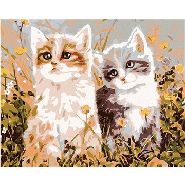 

Diamondi - KOŤATA A LUČNÍ KVÍTÍ, 40x50 cm, bez rámu a bez vypnutí plátna