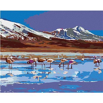 

Diamondi - JEZERO S PLAMEŇÁKY, 40x50 cm, vypnuté plátno na rám
