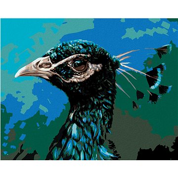 

Diamondi - Diamantové malování - PAVÍ PROFIL, 40x50 cm, bez rámu a bez vypnutí plátna