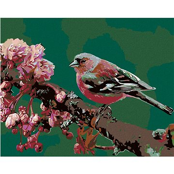 

Diamondi - KVETOUCÍ SAKURA A RŮŽOVÝ PTÁČEK, 40x50 cm, bez rámu a bez vypnutí plátna