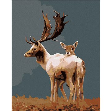 

Diamondi - DANĚK S LANÍ, 40x50 cm, bez rámu a bez vypnutí plátna