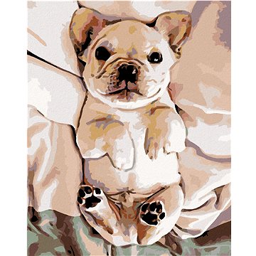 

Diamondi - Diamantové malování - MALÉ ŠTĚNĚ BULDOČKA, 40x50 cm, bez rámu a bez vypnutí plátna