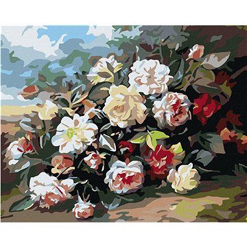 

Diamondi - PLANÉ RŮŽE, 40x50 cm, vypnuté plátno na rám