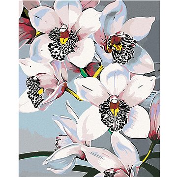

Diamondi - NÁDHERNÉ ORCHIDEJE, 40x50 cm, vypnuté plátno na rám