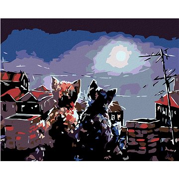 

Diamondi - KOŤATA NA STŘEŠE, 40x50 cm, vypnuté plátno na rám