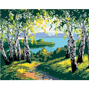 

Diamondi - PODZIMNÍ LESNÍ KRAJINA S BŘÍZAMI A ŘEKOU, 40x50 cm, vypnuté plátno na rám