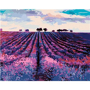 

Diamondi - LEVANDULOVÉ POLE A STROMY V DÁLI, 40x50 cm, vypnuté plátno na rám
